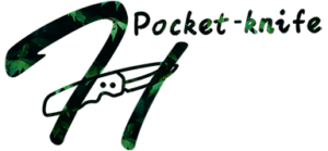 Complete Guide: Can You Take A Knife In Checked Luggage? TSA Rules