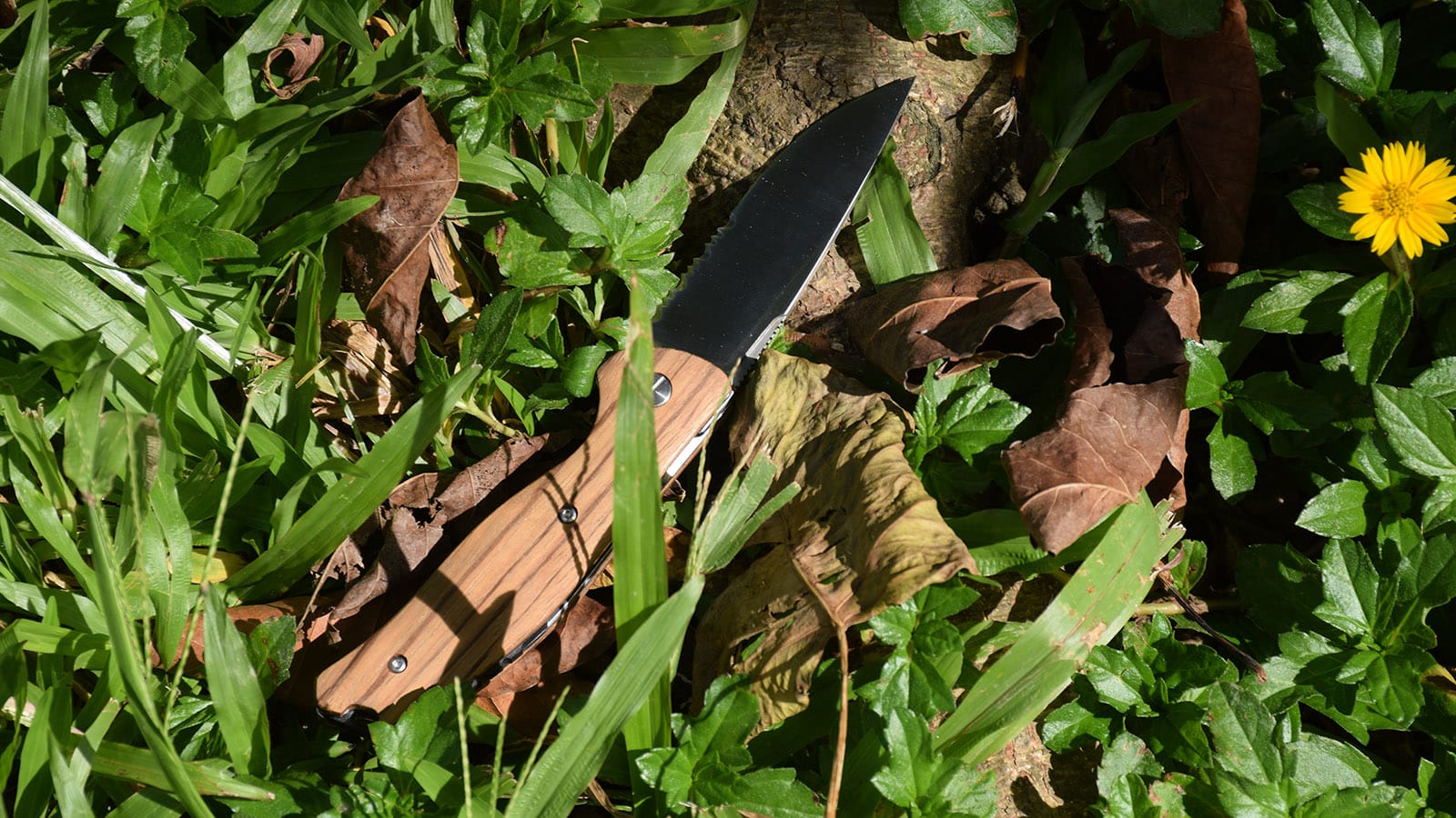 HT POCKET KNIFE FACTORY (70)